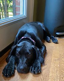 BMarston profile photo