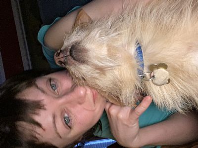 awall7642 profile photo