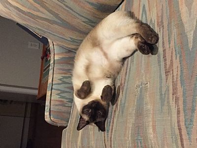 Jordanjurdle profile photo