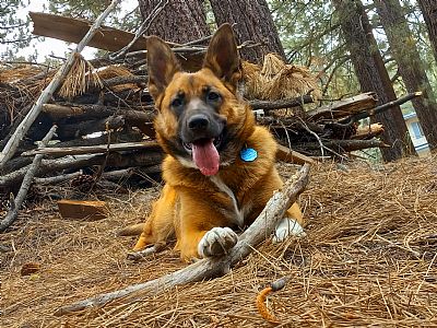 Christian98 profile photo