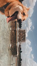 Amaria93 profile photo