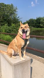 Amaria93 profile photo