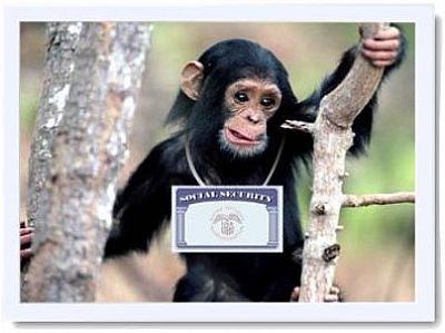 julie200212 profile photo