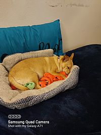 Amac78 profile photo