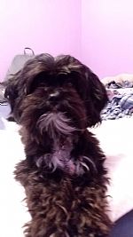 Reebekahh profile photo