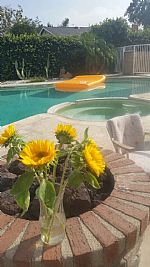 trotter profile photo