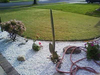 trotter profile photo