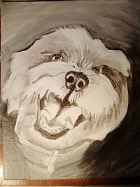 Pattybird profile photo