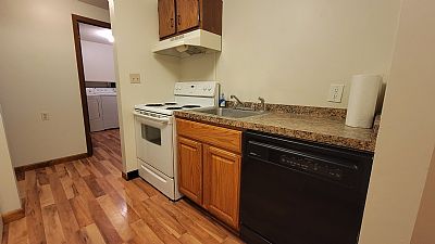 ShaneShane profile photo