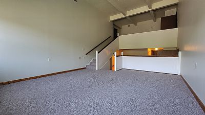 ShaneShane profile photo