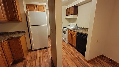 ShaneShane profile photo