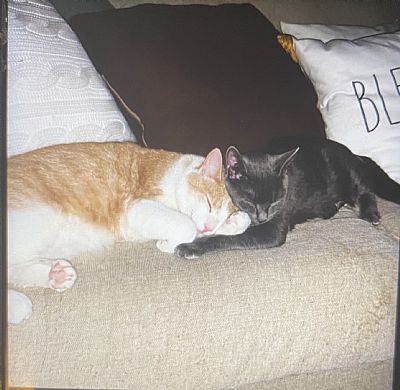 Xan_Naca11 profile photo