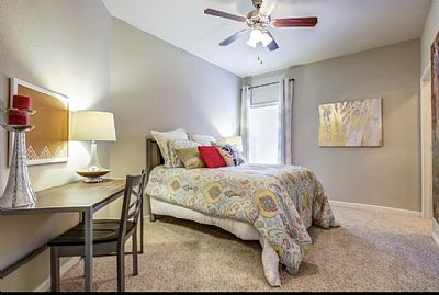 Savannah-rock profile photo