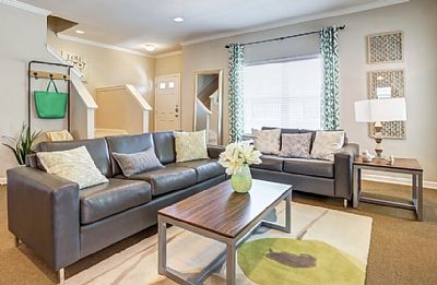 Savannah-rock profile photo