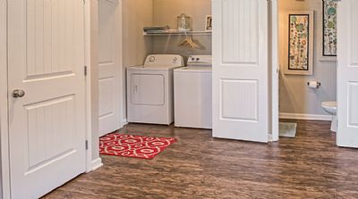 Savannah-rock profile photo