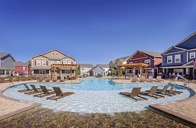 Savannah-rock profile photo