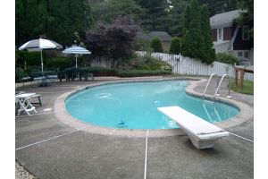 lion06 profile photo