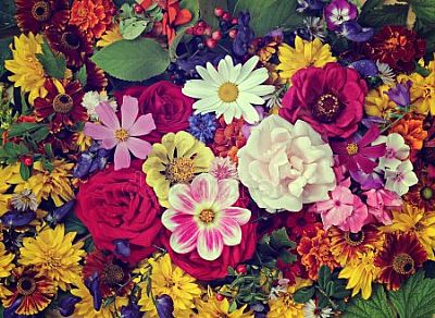 sunflower17 profile photo