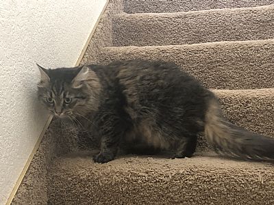 RyanSM profile photo