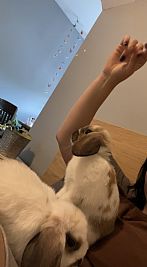 Mariela1022 profile photo