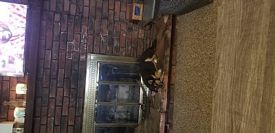 stimwink1 profile photo