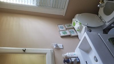 stimwink1 profile photo