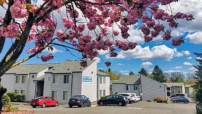 tjethan profile photo