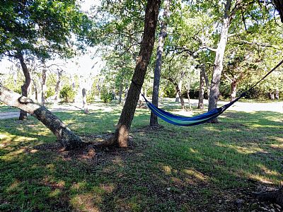 Todd** profile photo