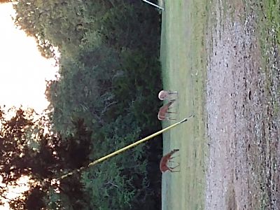 Todd** profile photo