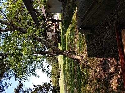 Todd** profile photo