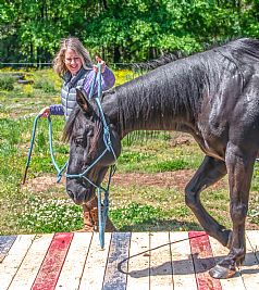 ohmsliz profile photo