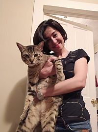 Nmousavi profile photo