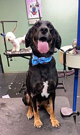 laquoyat96 profile photo