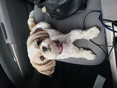 Cjragan profile photo