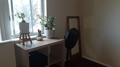 Flowers80 profile photo