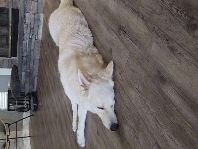 Eaglescout1984 profile photo