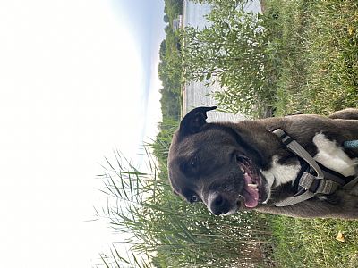 Clbittner profile photo