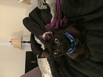 Sarah.wilkins05 profile photo