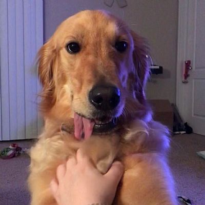 Jschiller0218 profile photo