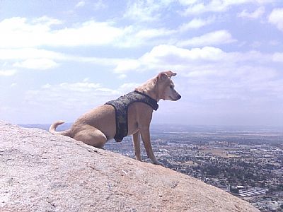 Jasonpaul@69 profile photo