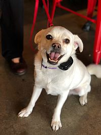 Preece1130 profile photo