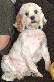 Pumpkin18 profile photo