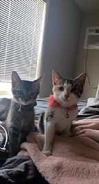 Hughes1221 profile photo