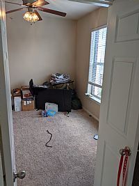 priceless91 profile photo