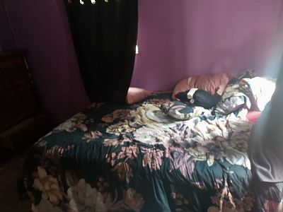 corpusjunior81 profile photo