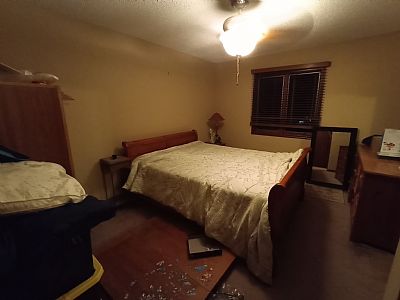 jadelevitt profile photo