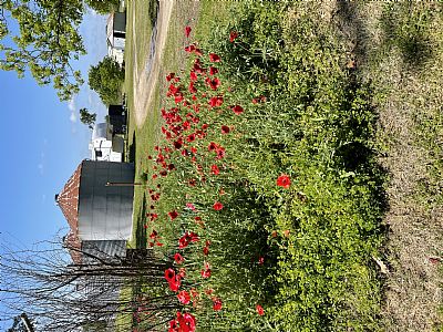 Margiesmom profile photo