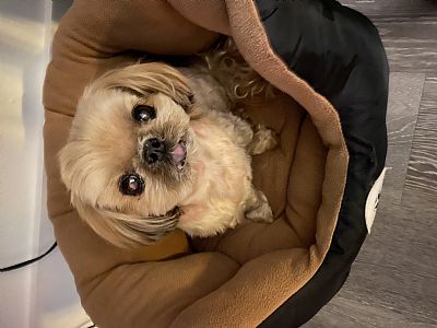 Nowher profile photo