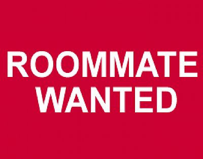 tigsluv2000 profile photo