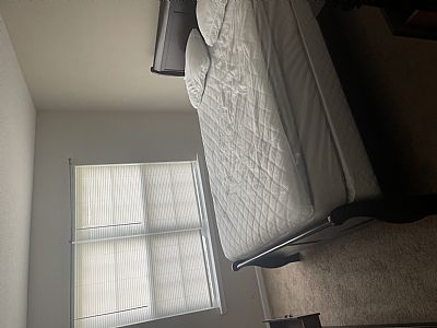 Britbee profile photo